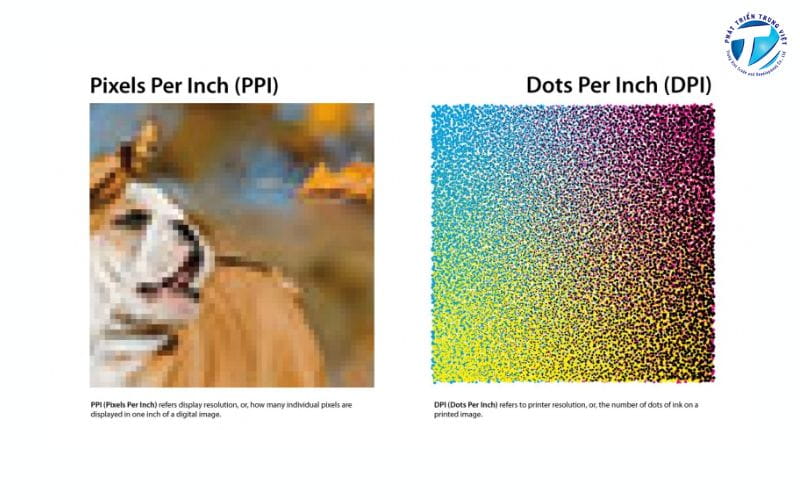 Phân biệt DPI và PPI